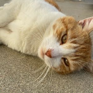 Meet your Posher, Andrew